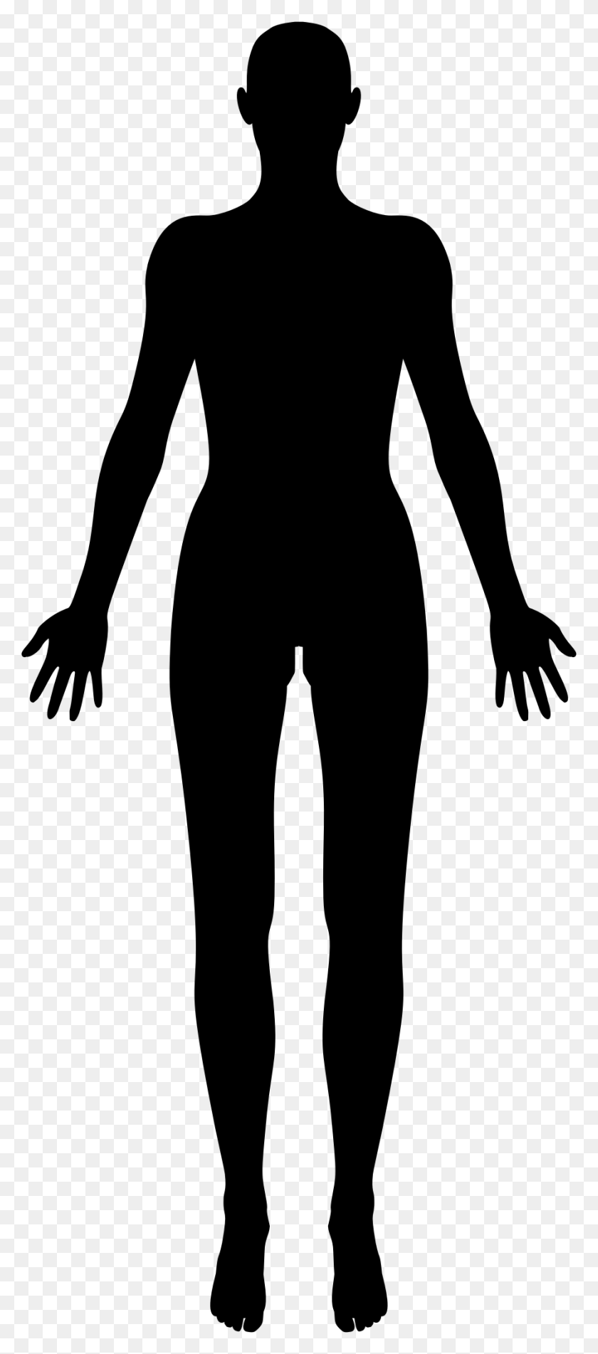 894x2112 Female Body Silhouette Big Image Human Body Silhouette, Gray, World Of Warcraft HD PNG Download