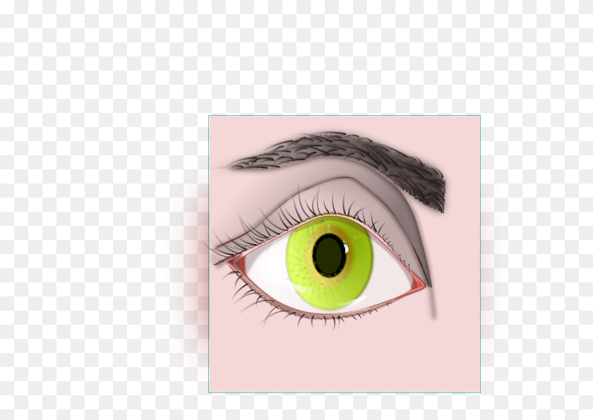 600x535 Female Eye And Ojo Clipart, Tape HD PNG Download