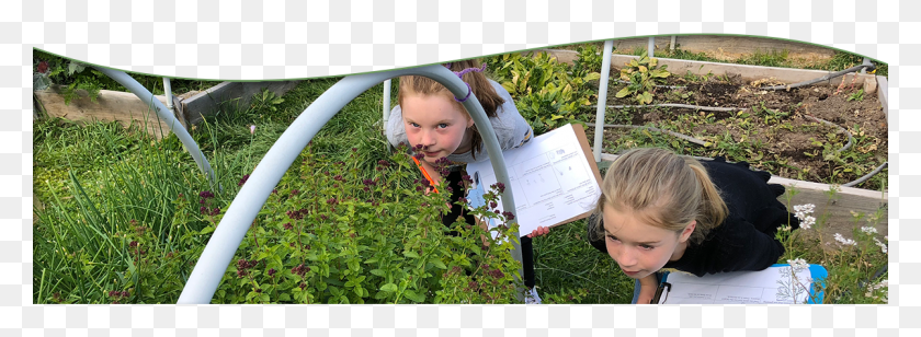 1200x382 Female Students Smell Plants Outside As They Hold Clipboards Crop, Person, Human, Outdoors HD PNG Download