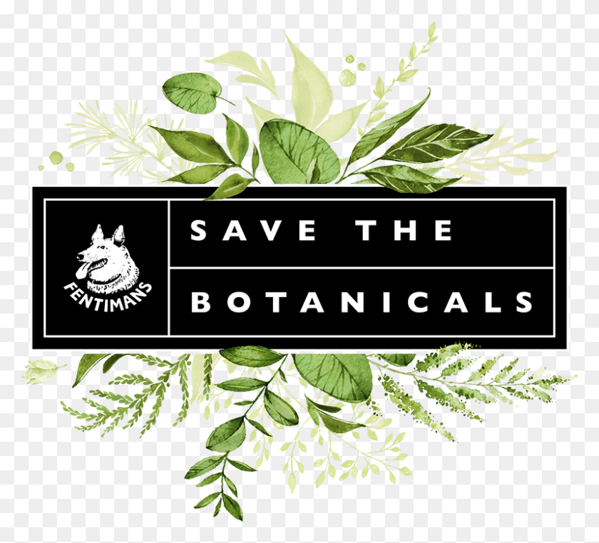 800x720 Fentimans Save The Botanicals Wedding Invitations, Potted Plant, Plant, Vase HD PNG Download