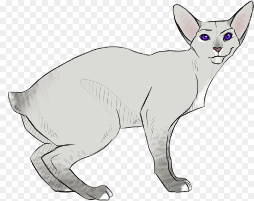 Feral Dobby Minskin, Animal, Cat, Mammal, Pet Sticker PNG