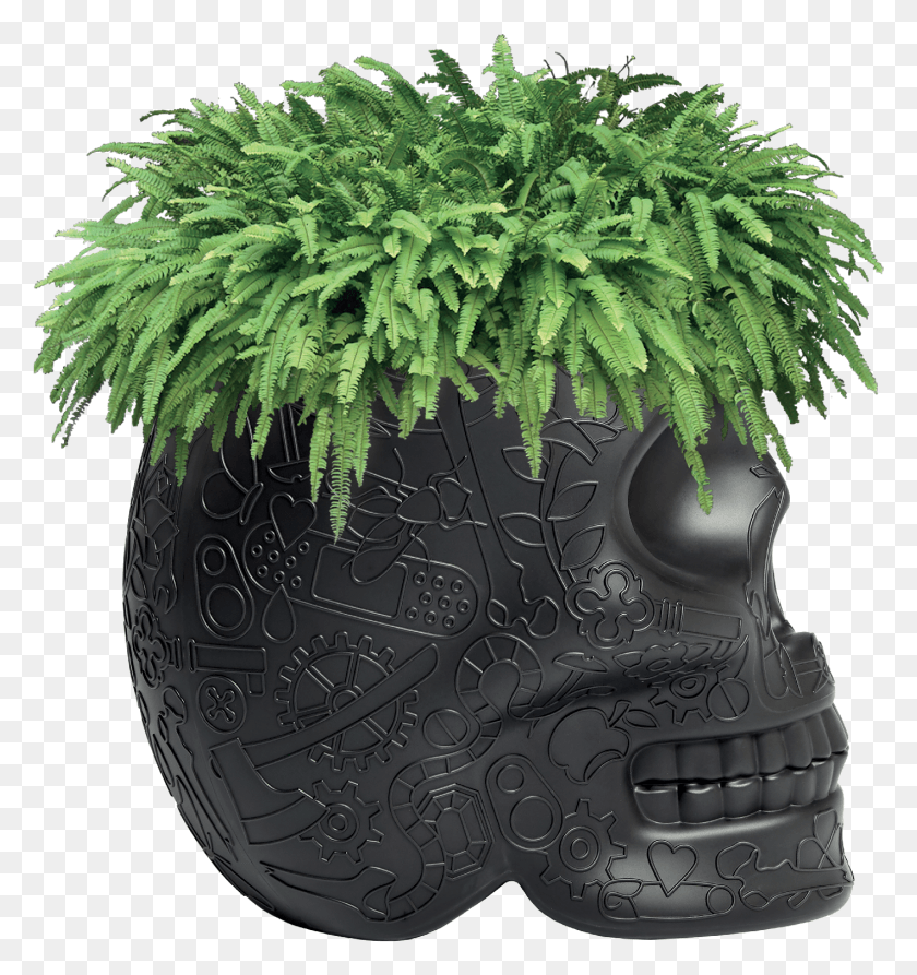 1424x1522 Fern Clipart Planter Skull Planter, Sphere, Plant, Potted Plant HD PNG Download