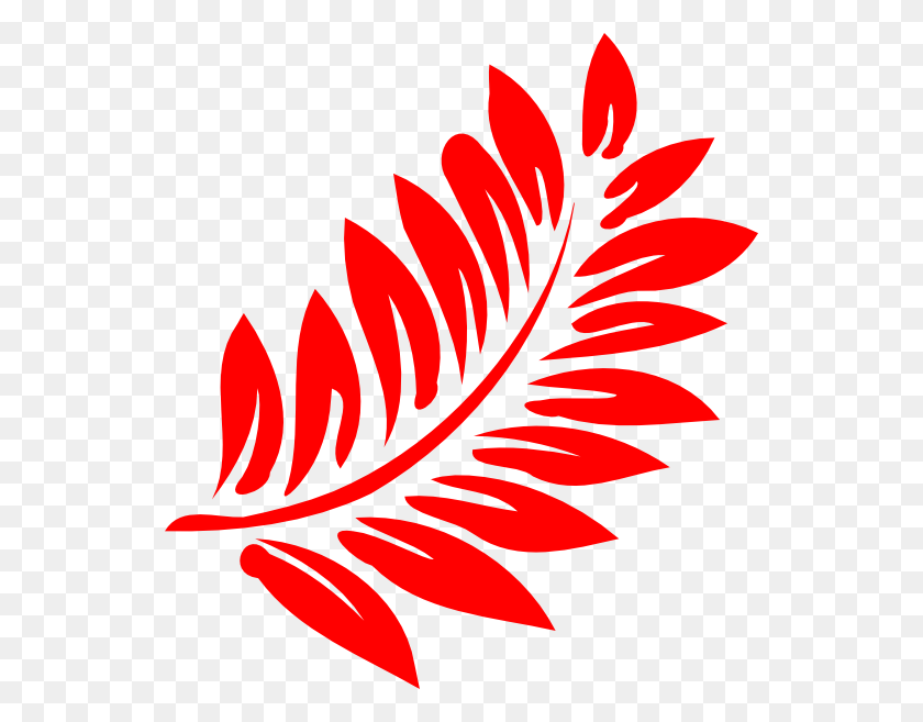 540x597 Fern Cliparts Hibiscus Clip Art, Leaf, Plant, Graphics HD PNG Download