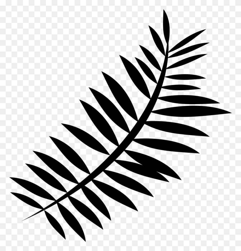 1197x1255 Fern Silhouette Transparent Background, Gray, World Of Warcraft HD PNG Download