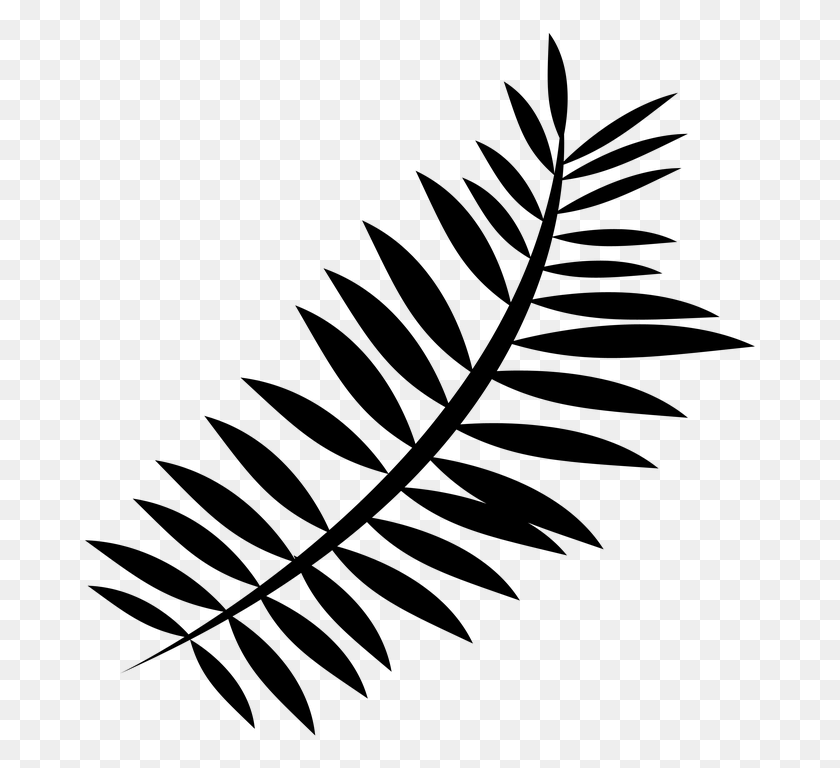675x708 Ferns Huge Freebie For Powerpoint Fern Silhouette Transparent, Gray, World Of Warcraft HD PNG Download