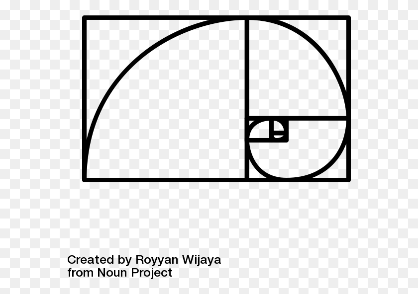 570x532 Espiral De Fibonacci Png / Espiral De Fibonacci Hd Png