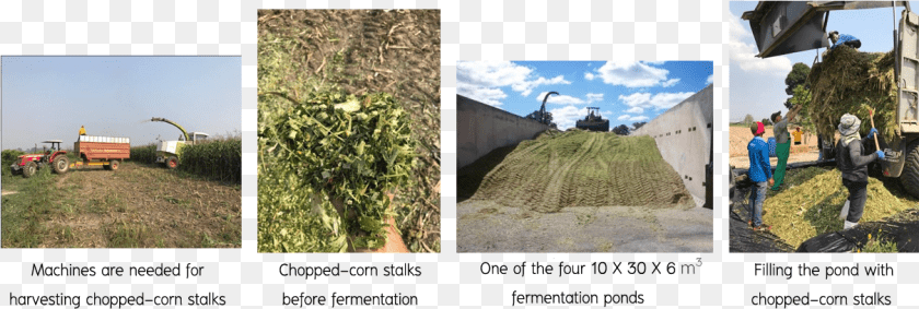 1210x407 Field, Agriculture, Art, Collage, Countryside Sticker PNG
