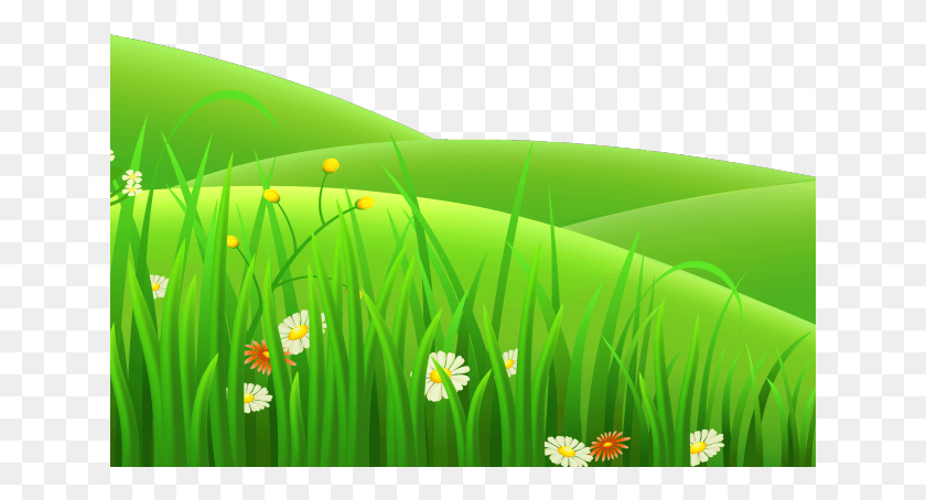 641x394 Field Clipart Grass Patch Garden Grass Clipart, Green, Plant, Spring HD PNG Download
