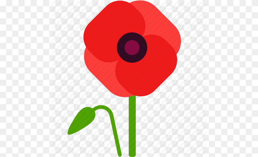 512x512 Field Floral Florist Flower Poppy Remembrance Icon, Plant, Dynamite, Weapon PNG