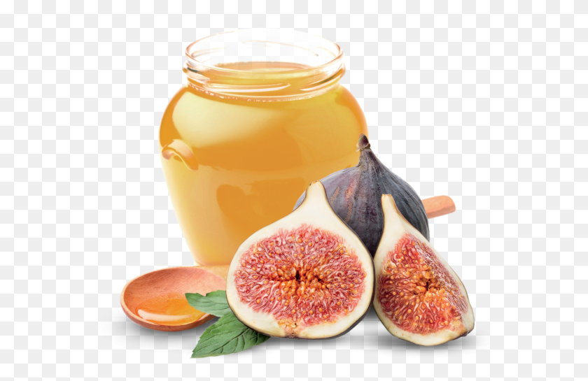 563x485 Fig And Honey Fig And Honey, Plant, Fruit, Food HD PNG Download