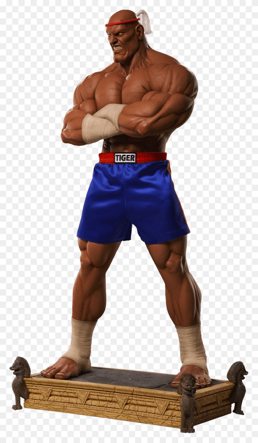 848x1500 Figurine, Person, Human, Shorts HD PNG Download