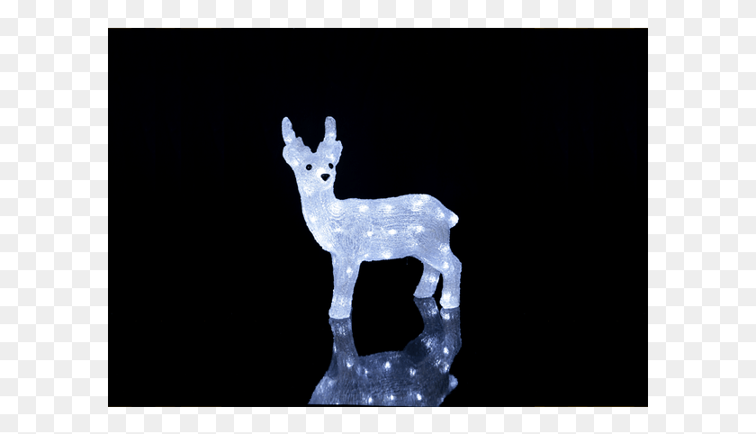 601x422 Figurine Crystalo Reindeer, Deer, Wildlife, Mammal HD PNG Download
