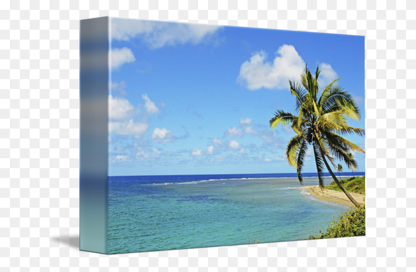 650x490 Fiji Blue Turquoise With By Design Pics Caribbean, Summer, Tropical, Outdoors HD PNG Download