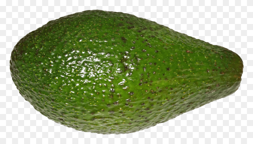 3001x1619 Aguacate Png / Aguacate Hd Png