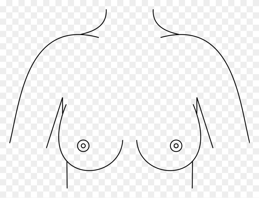 1280x955 File Breasts Svg Line Art, Gray, World Of Warcraft HD PNG Download