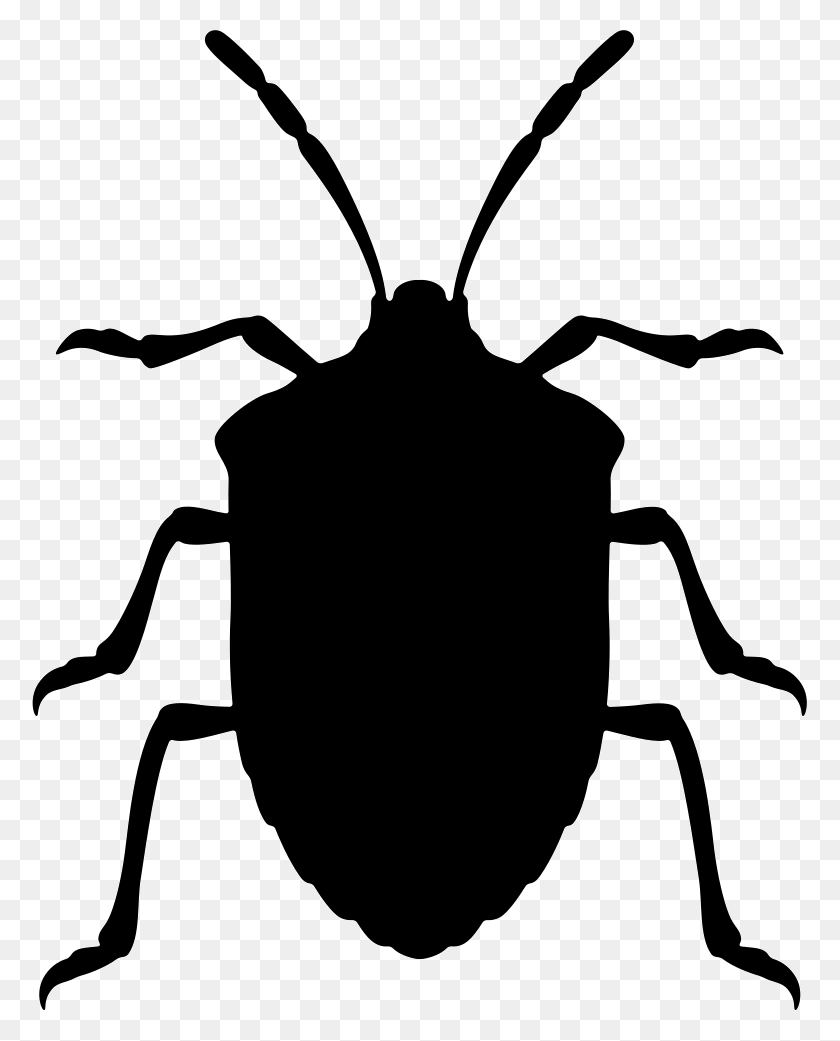 775x981 File Bugs Vector, Insect, Invertebrate, Animal HD PNG Download