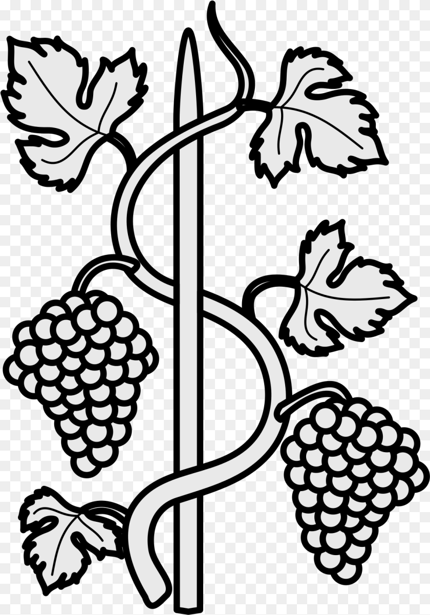 File Coa Illustration Elements Grapevine Coat Of Arms, Stencil, Produce, Plant, Food Transparent PNG