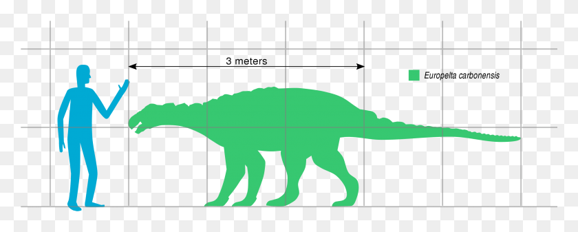 2637x938 File Europelta Scale Svg Лесотозавр, Человек, Человек, Животное Hd Png Скачать