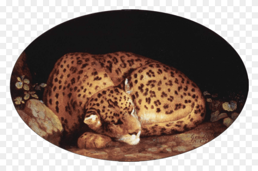 1600x1023 File George Stubbs Leopard George Stubbs Sleeping Leopard, Wildlife, Animal, Mammal HD PNG Download