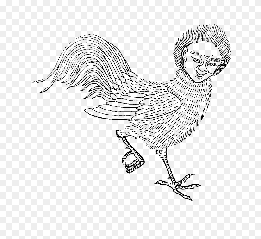 1339x1220 File Imperial Encyclopaedia Animal Kingdom Pic107 Sketch, Bird, Fowl, Poultry HD PNG Download