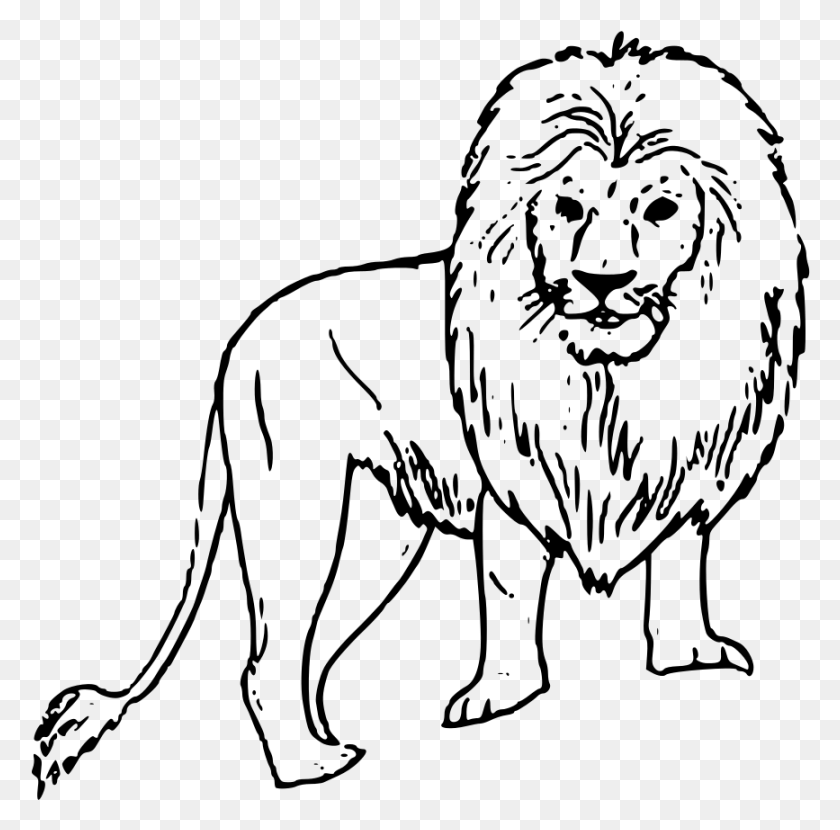 867x856 File Lion Clipart Svg Easy Drawings Of Wild Animals, Gray, World Of Warcraft HD PNG Download