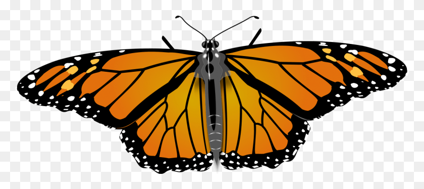 1201x485 File Monarch Butterfly Svg Monarch Butterfly, Butterfly, Insect, Invertebrate HD PNG Download