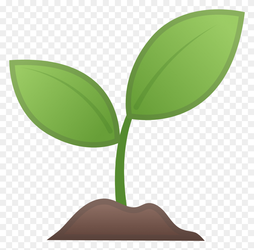 1873x1840 File Noto Oreo F Emoji Planta, Растение, Лампа, Росток Hd Png Скачать