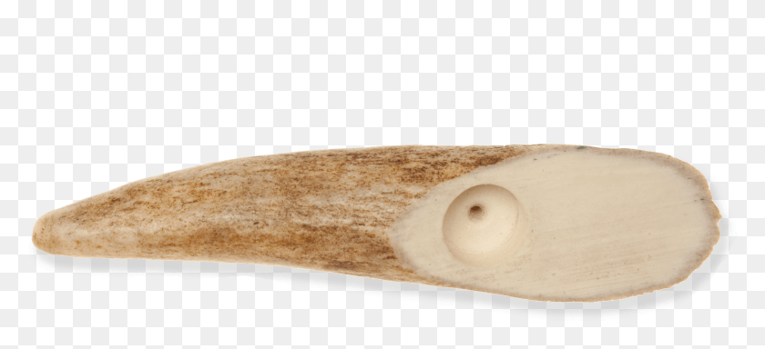 3036x1263 File On Picrivermooseantler Climbing Hold, Wood, Ivory, Plywood HD PNG Download