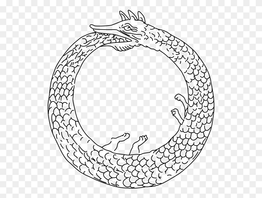 537x574 File Ouroboros Abake Svg Ouroboros, Gray, World Of Warcraft HD PNG Download