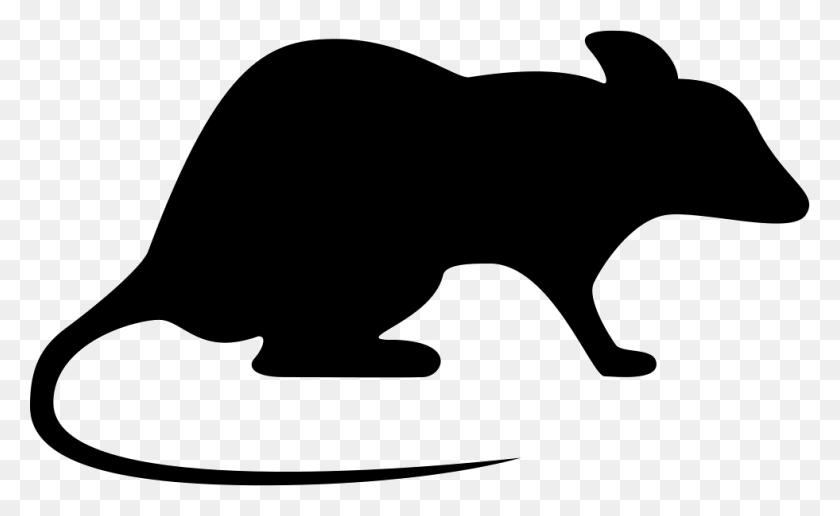 981x574 File Rat Icon, Mammal, Animal HD PNG Download