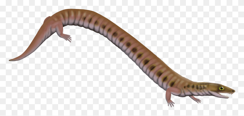 File Rhynchonkos Microsauria, Axe, Tool, Person HD PNG Download
