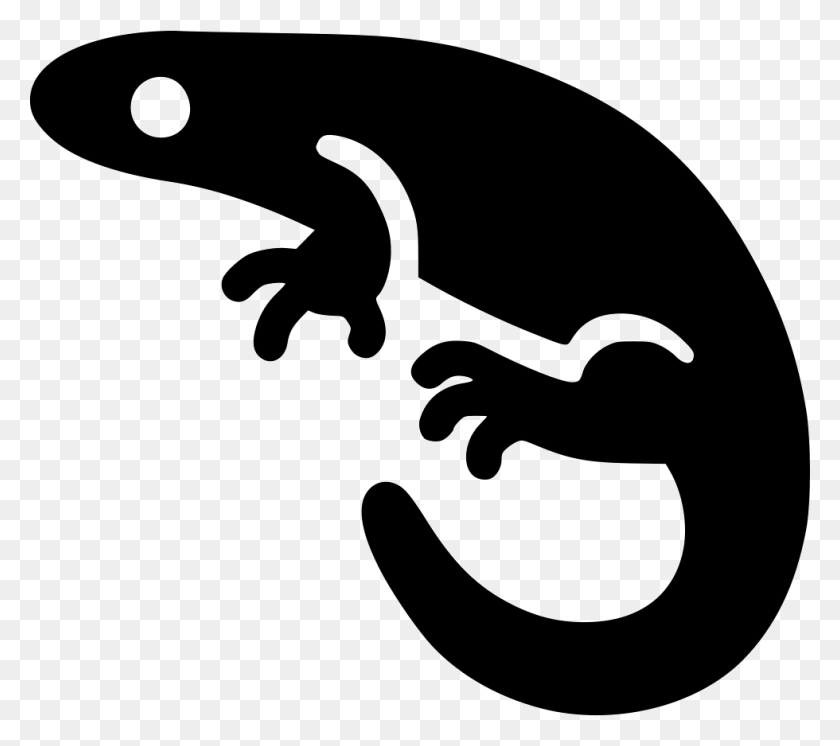 980x862 File Salamander Icon, Animal, Amphibian, Wildlife HD PNG Download