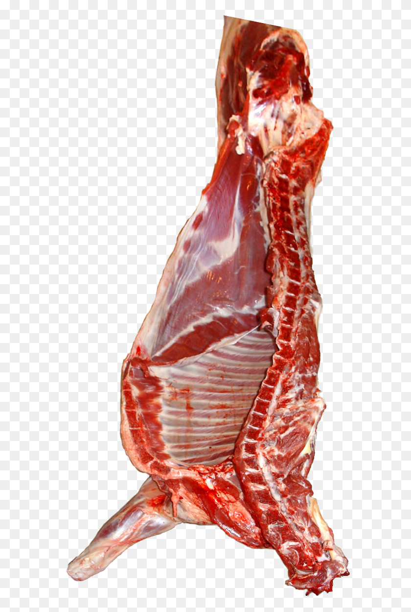 593x1189 File Schafhlfte Red Meat, Food, Pork, Chicken HD PNG Download