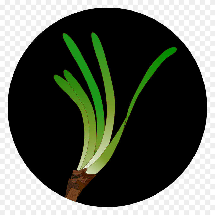 1024x1024 File Seagrass Icon Svg Circle, Plant, Produce, Food HD PNG Download