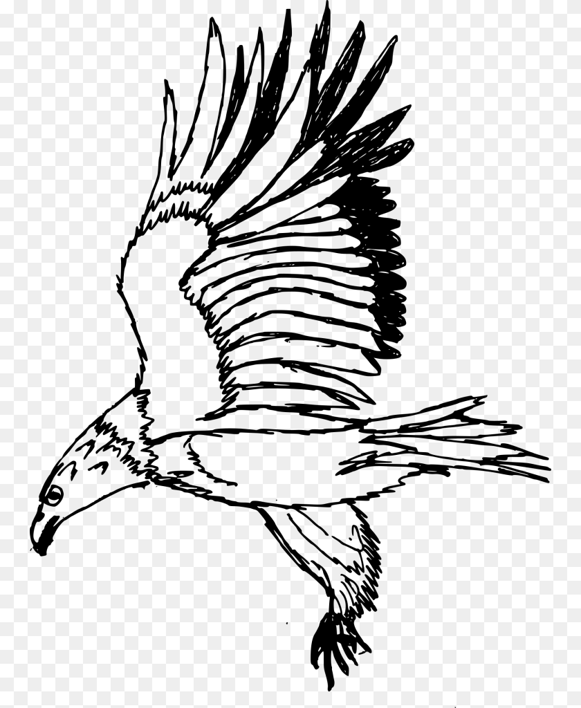 File Size Illustration, Gray Transparent PNG