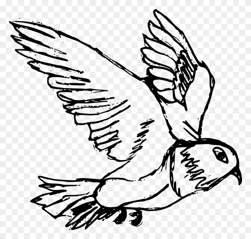 1024x972 File Size Pigeon Drawing, Gray, World Of Warcraft HD PNG Download