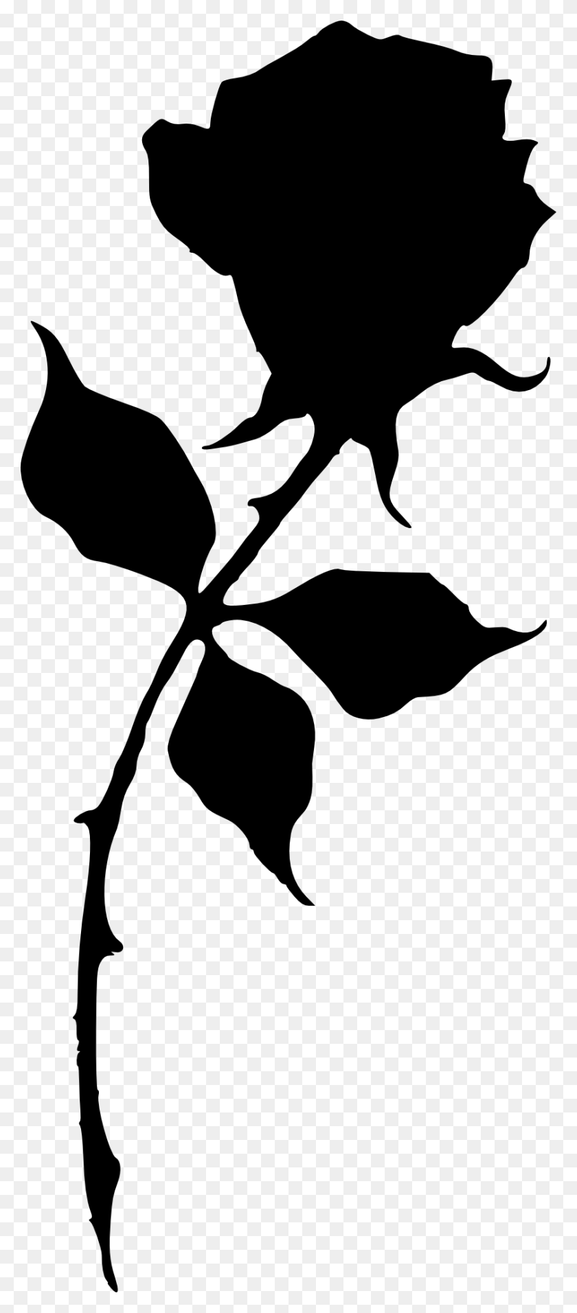 842x2000 File Size Silhouette Of A Rose, Leaf, Plant HD PNG Download