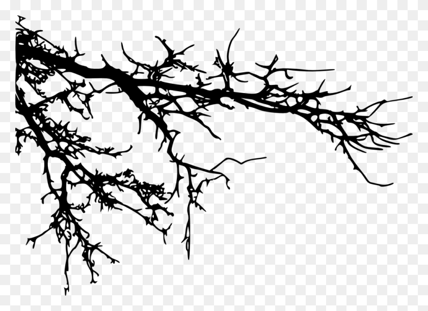 1024x724 File Size Tree Branch Silhouette, Gray, World Of Warcraft HD PNG Download