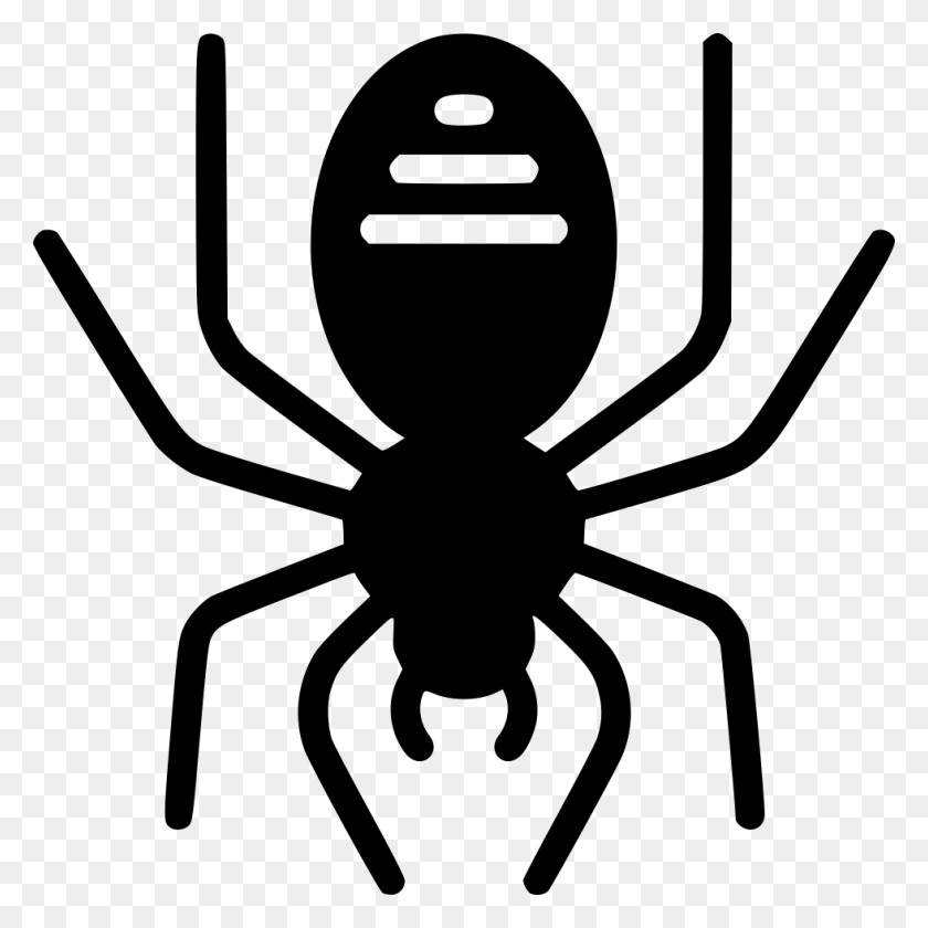 980x980 File Spider, Animal, Invertebrate, Arachnid HD PNG Download