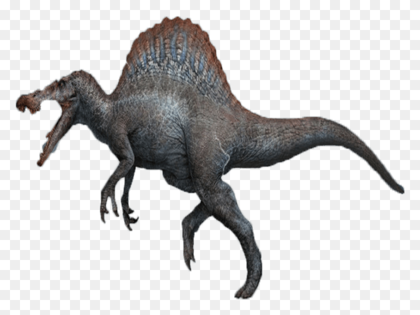 844x617 Descargar Png / Spinosaurus, Dinosaurio, Reptil, Animal Hd Png