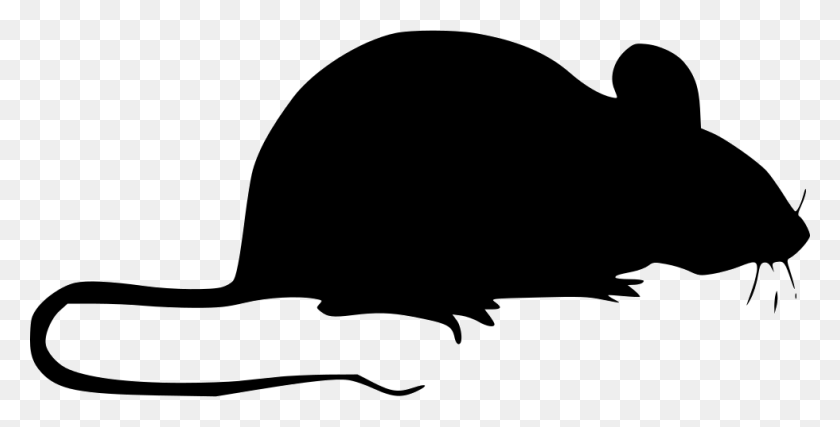 980x462 File Svg Computer Mouse, Animal, Mammal HD PNG Download