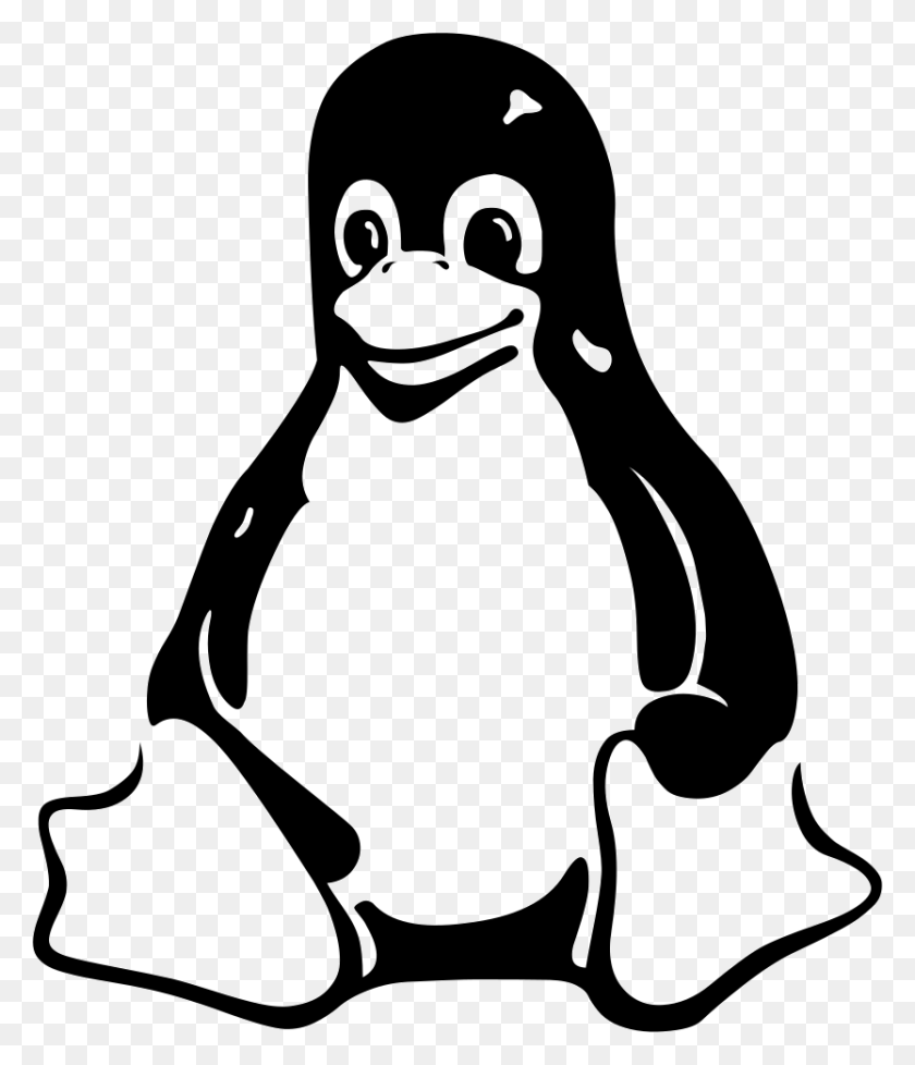 833x981 Descargar Png File Svg Linux, Pingüino, Pájaro, Animal Hd Png