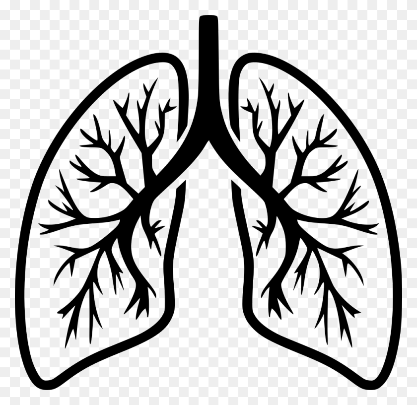 980x950 File Svg Lungs Clip Art Black And White, Stencil, Dynamite, Bomb HD PNG Download