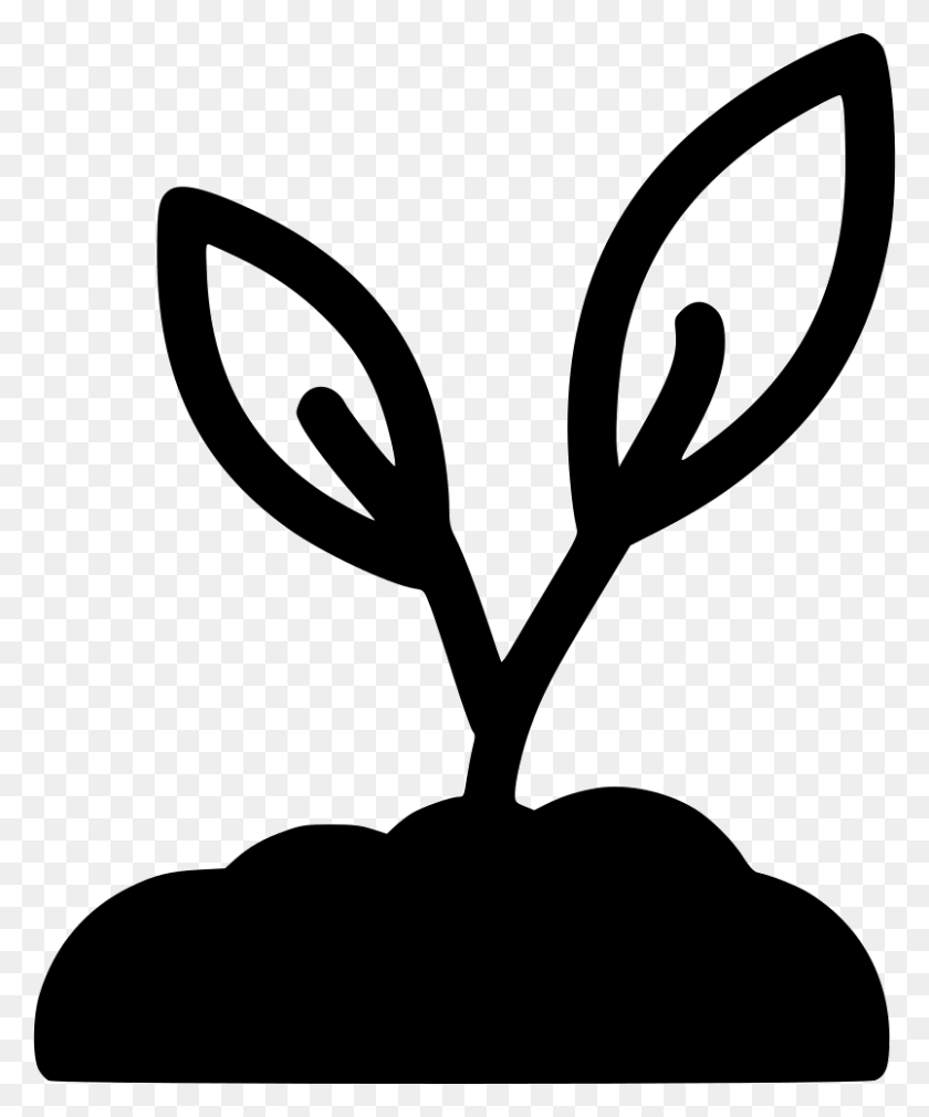 804x980 File Svg Sprout Silhouette, Plant, Stencil HD PNG Download