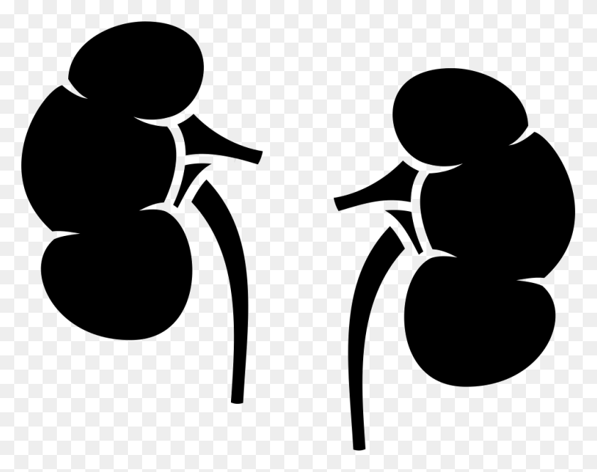 981x760 File Svg Urinary System, Stencil HD PNG Download