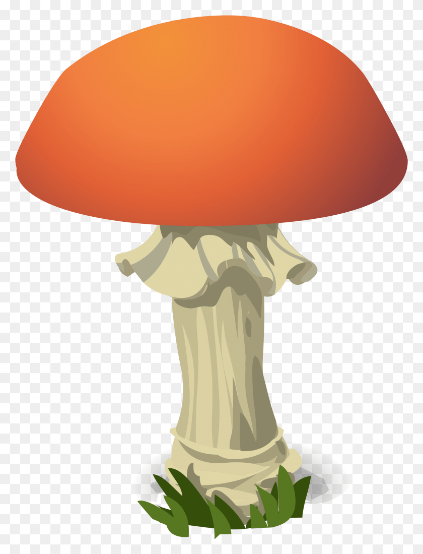 1993x2656 File Svg Wikimedia Commons Open Amanita Muscaria, Plant, Agaric, Mushroom HD PNG Download