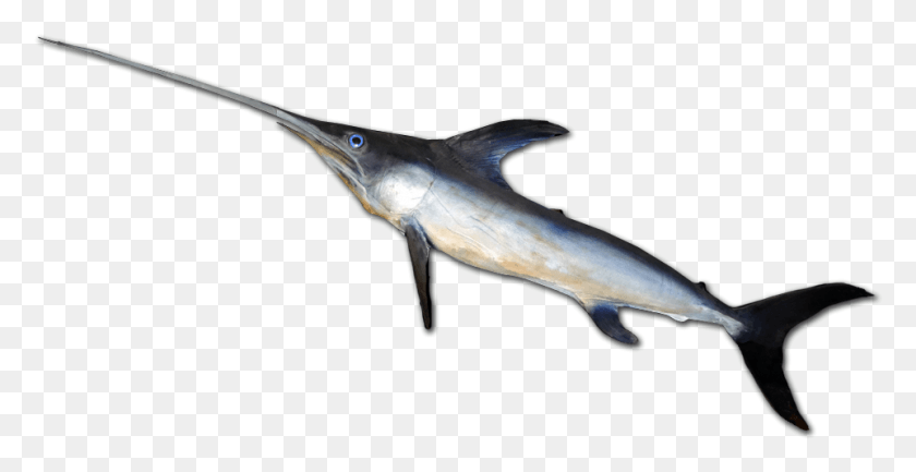 961x460 File Swordfish 0016 Atlantic Blue Marlin, Fish, Animal, Sea Life HD PNG Download