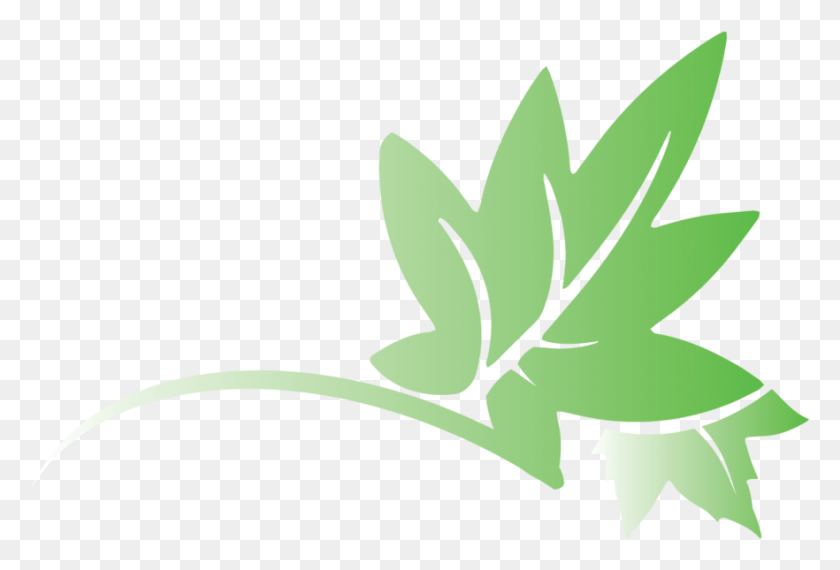 882x577 File Transparent Gradient Leaf Logo Wout Text Illustration, Plant, Seed, Grain HD PNG Download