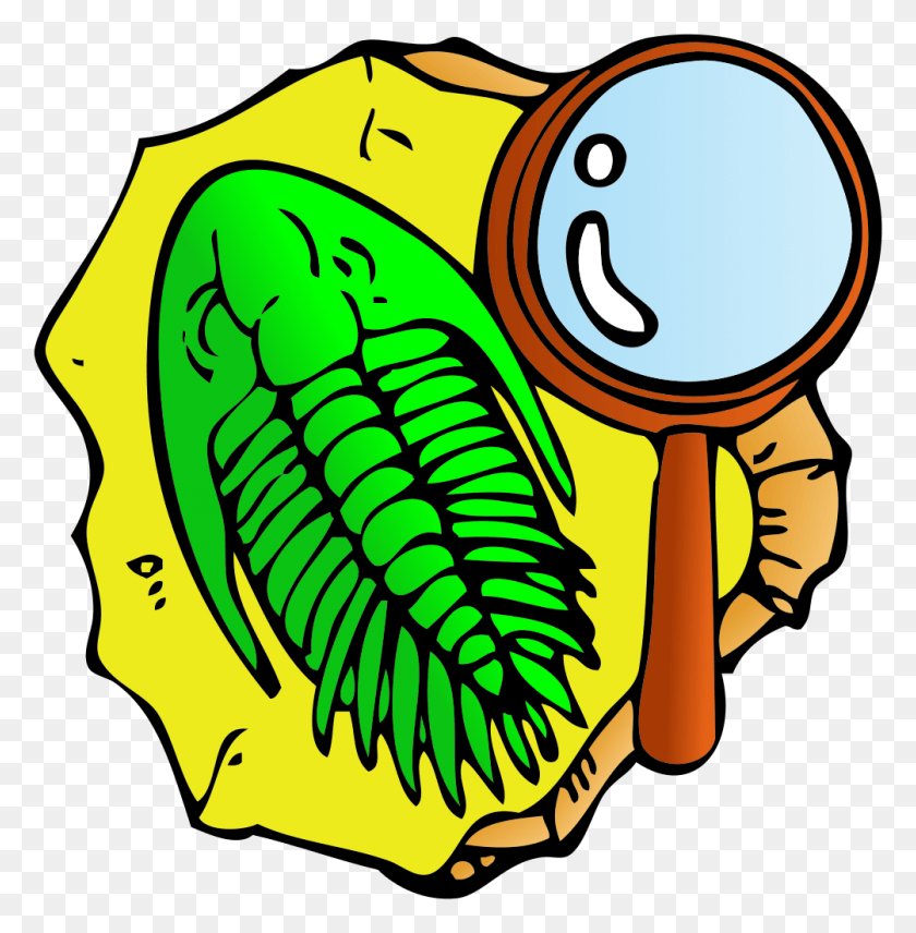 1003x1024 File Trilobite Clipart Vector Svg Fossils Clip Art, Food HD PNG Download