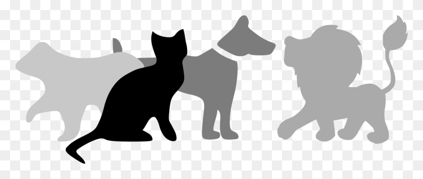 1252x477 File Wikiproject Warriors Svg Black Cat, Stencil, Pet HD PNG Download